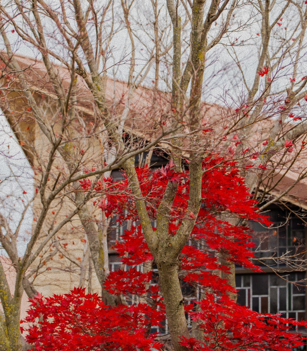 County Line Church Auburn Campus - In person worship at 602 Erie Pass Auburn Indiana